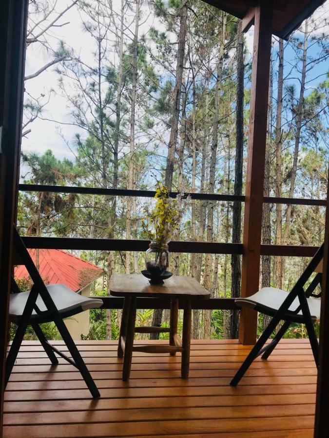 Hotel Casa De Arbol, Rancho Tierra Alta Jarabacoa Exteriér fotografie