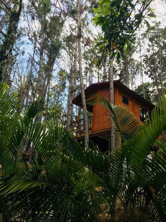 Hotel Casa De Arbol, Rancho Tierra Alta Jarabacoa Exteriér fotografie