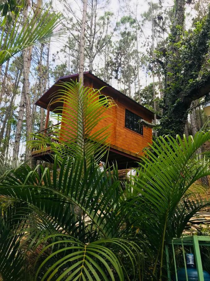 Hotel Casa De Arbol, Rancho Tierra Alta Jarabacoa Exteriér fotografie